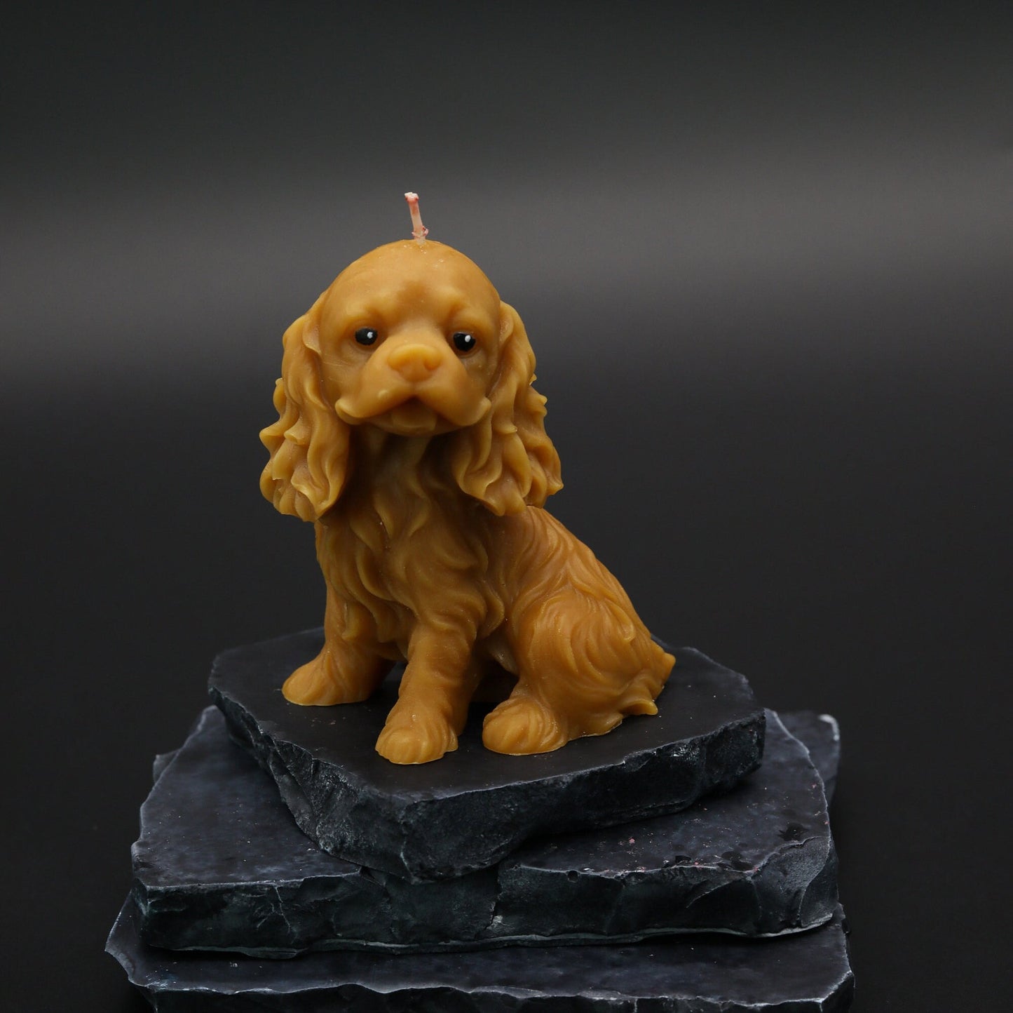 cocker spaniel, Irish setter dog, DOG CANDLE, DOGGY, DOG MOM, GIFT FOR DOG LOVER, AGAABOO, GOLDEN RETRIVER