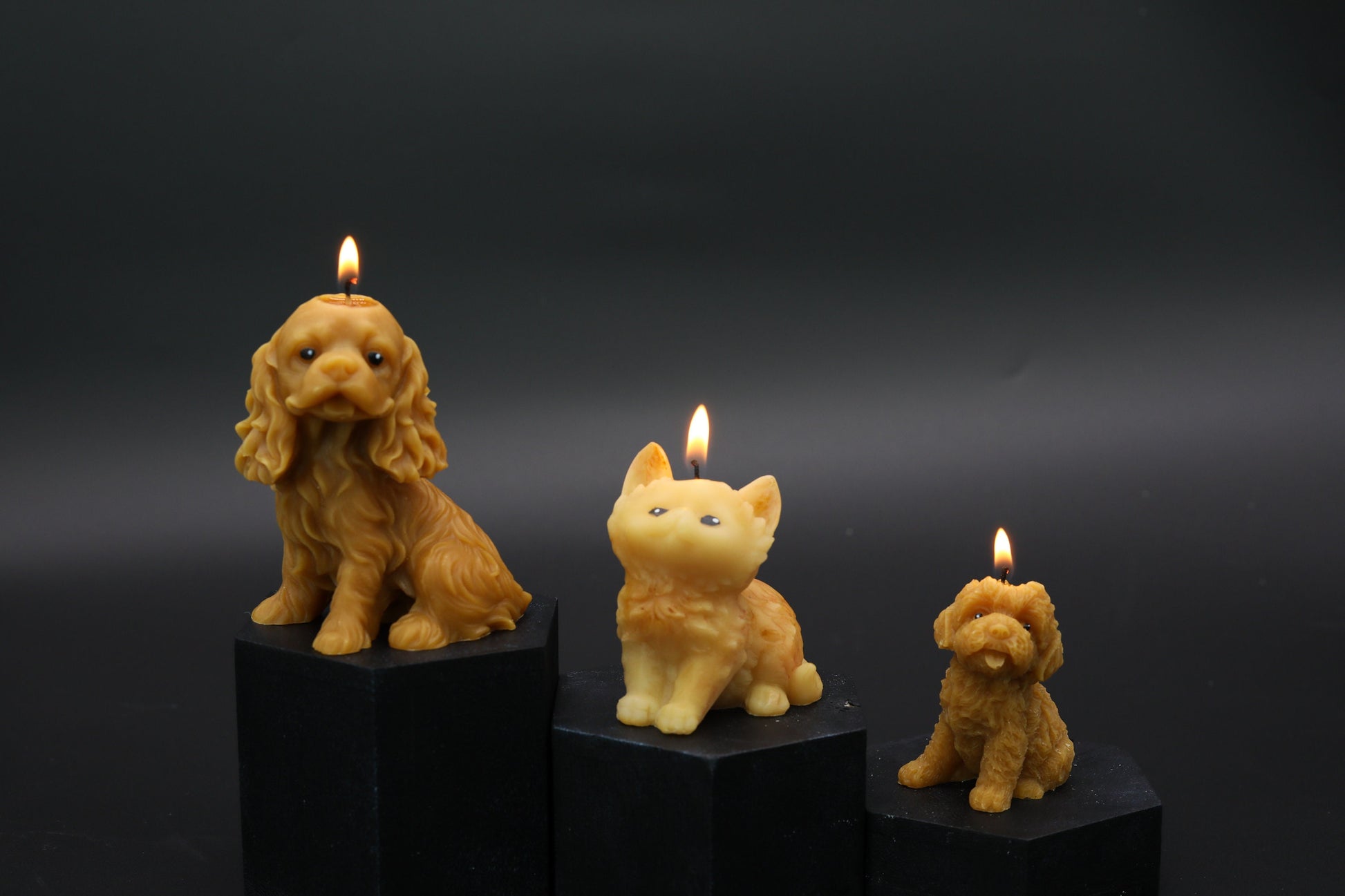 cat shaped | f sculptural | housewarming candle | handmade | birthday | gift | cat candle | personalized candle