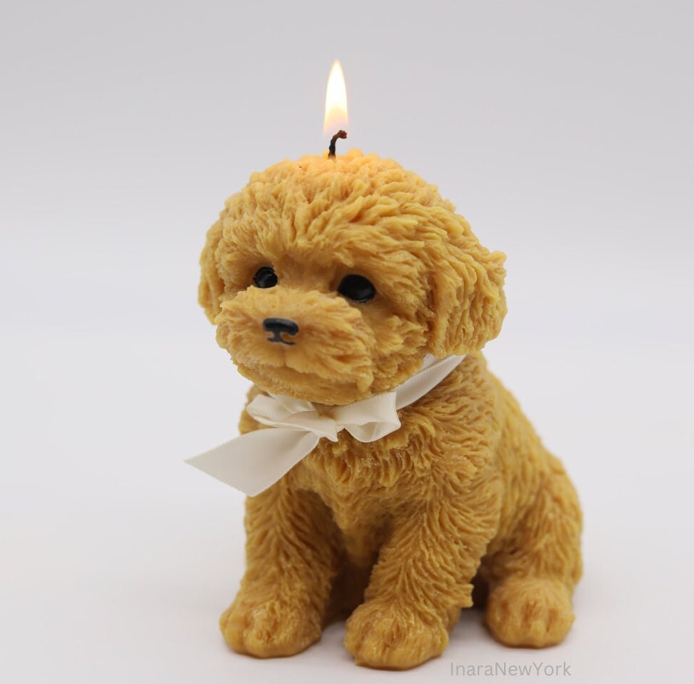 dog candle | sculptural | housewarming candle | doggy | personalized custom | puppy | cockapoo poodle | golden retriever