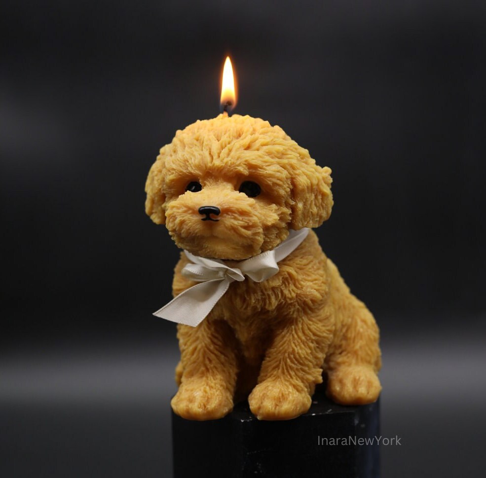 dog candle | sculptural | housewarming candle | doggy | personalized custom | puppy | cockapoo poodle | golden retriever