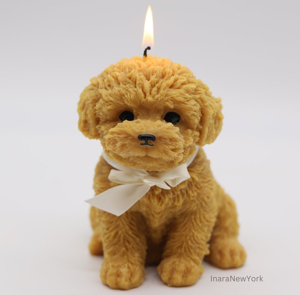 dog candle | sculptural | housewarming candle | doggy | personalized custom | puppy | cockapoo poodle | golden retriever