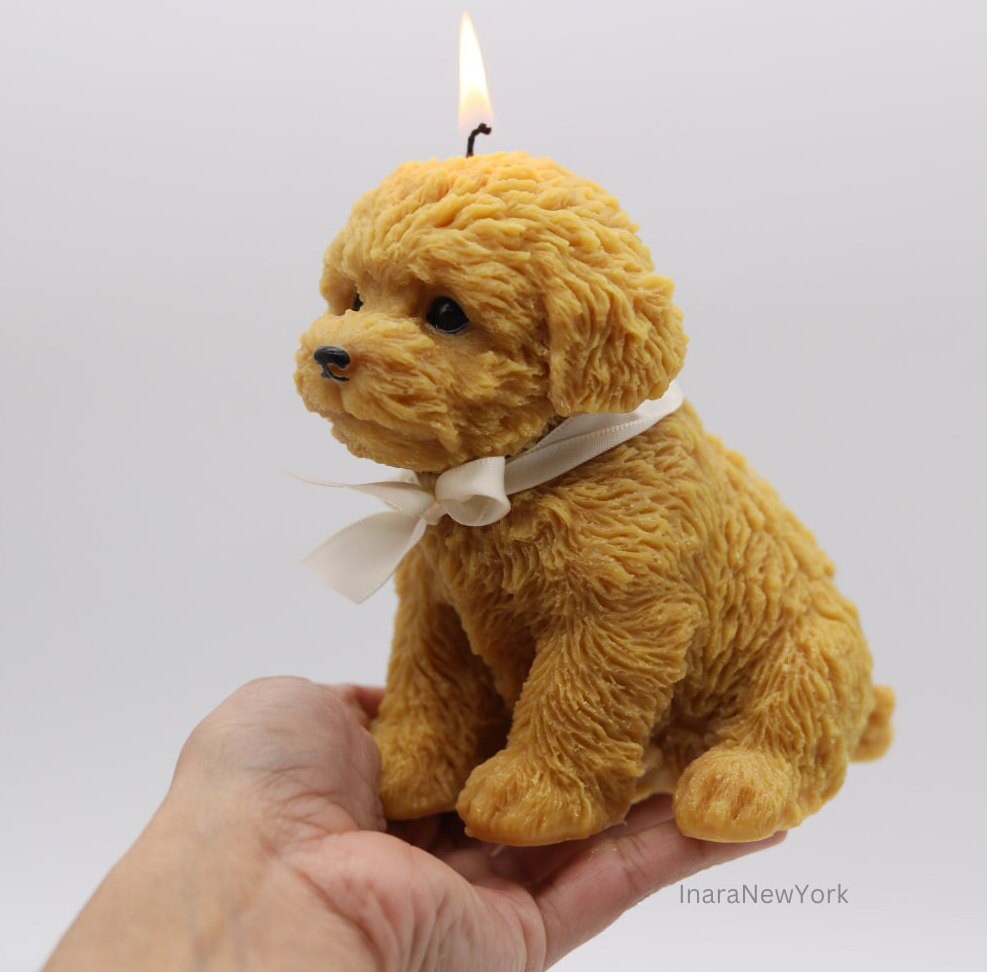 dog candle | sculptural | housewarming candle | doggy | personalized custom | puppy | cockapoo poodle | golden retriever