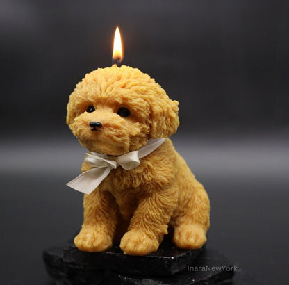 cockapoo dog candle, puppy gift, dog gifts, golden retriever gift, dog, doggy