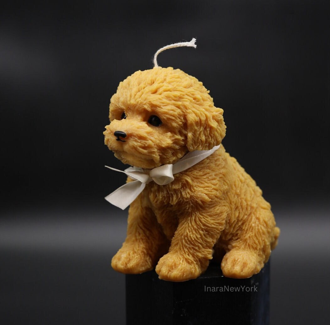 cockapoo dog candle, puppy gift, dog gifts, golden retriever gift, dog, doggy, puppy gift, dog mom, dog daddy