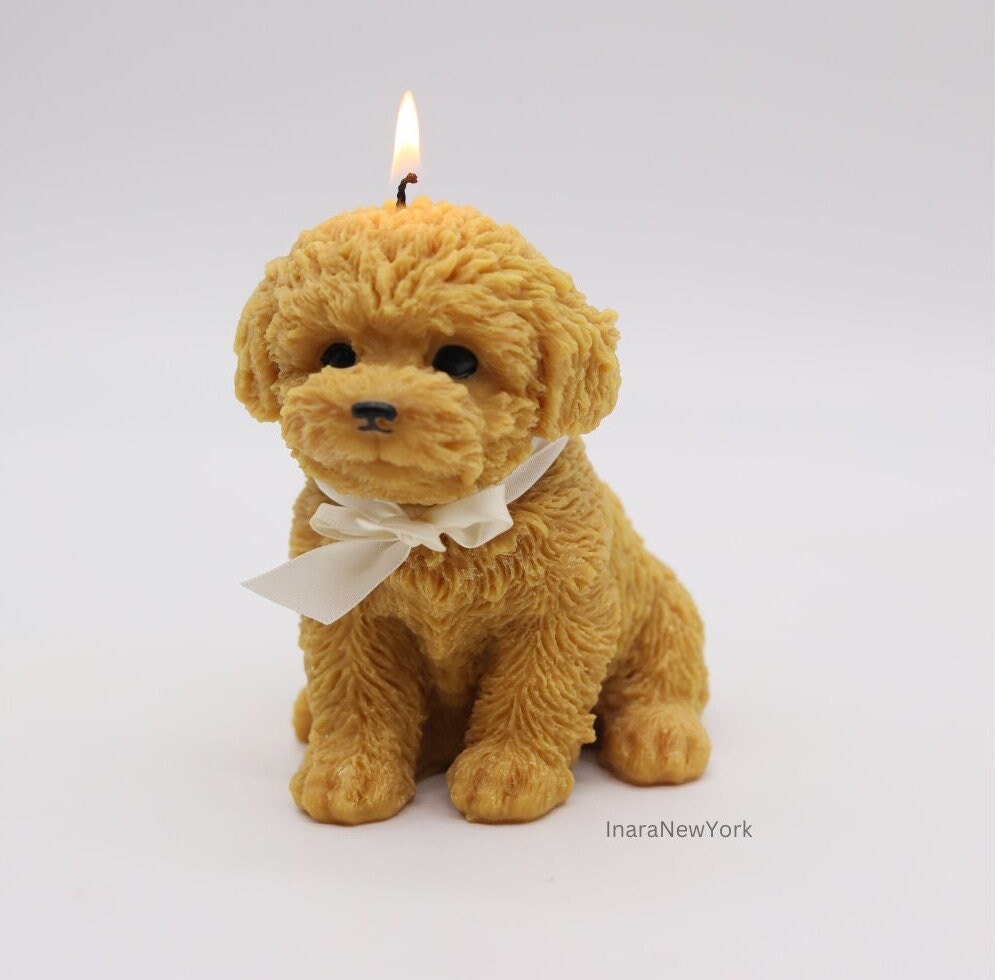 cockapoo dog candle, puppy gift, dog gifts, golden retriever gift, dog, doggy